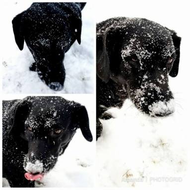 26055765_10100272811560619_5262148650489586487_n